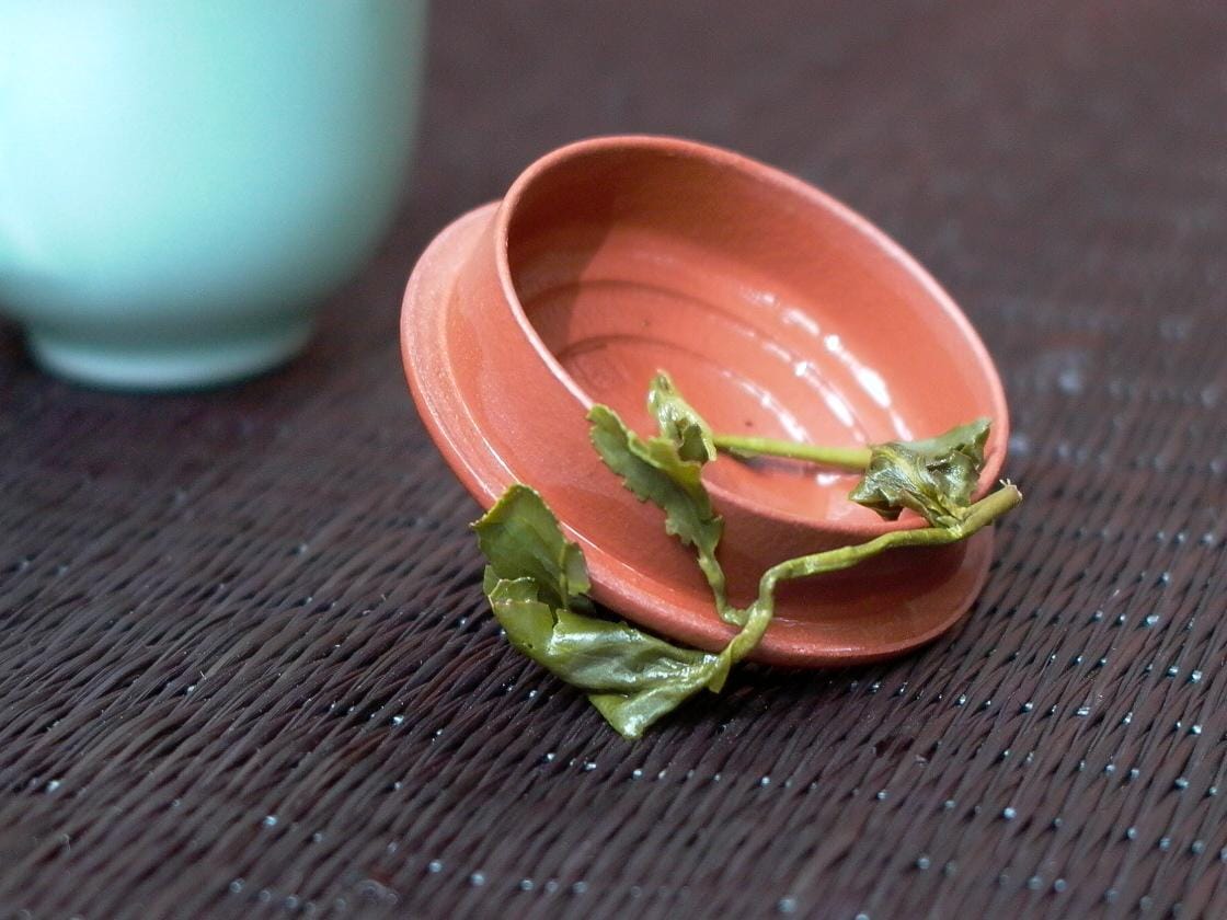 烏龍茶健康功效大公開：兒茶素與茶多酚的保健秘密