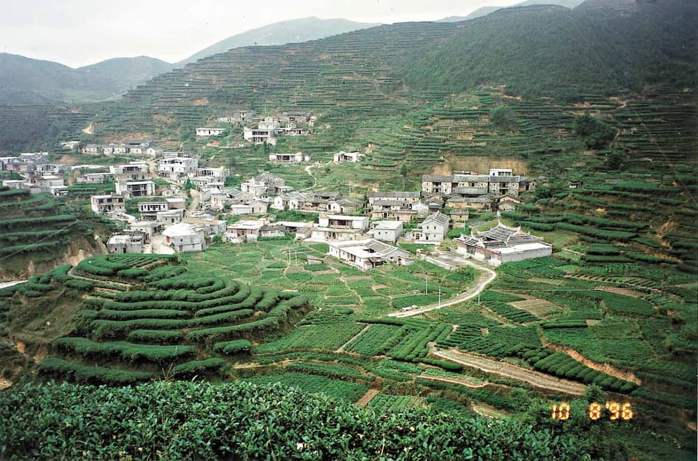 安溪土壤的秘密