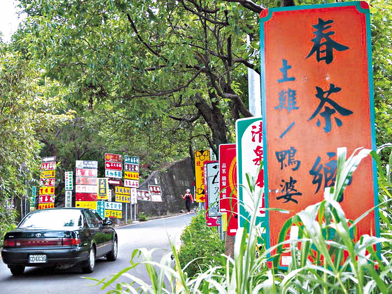 鐵觀音征服南洋