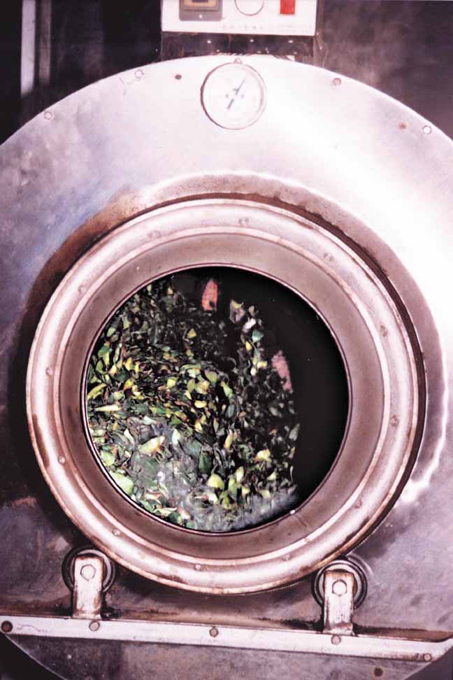 鐵觀音烘焙的火候哲學