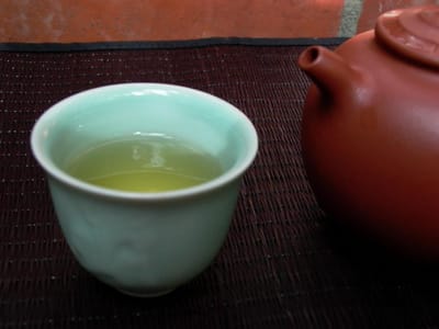 正宗烏龍茶泡茶方法：避開常見錯誤，泡出真滋味