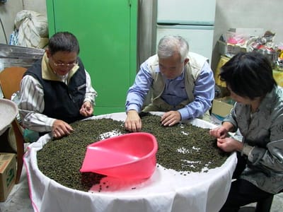 台灣高山烏龍茶EQ測試