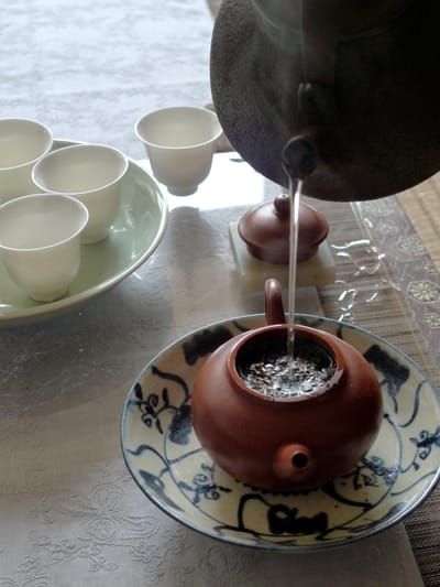 侍茶師的第一步
