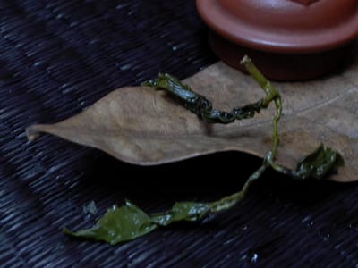 蘇石鐵