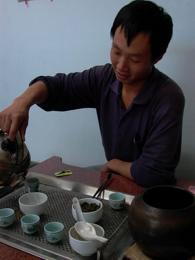 五種茶葉的身份謎題