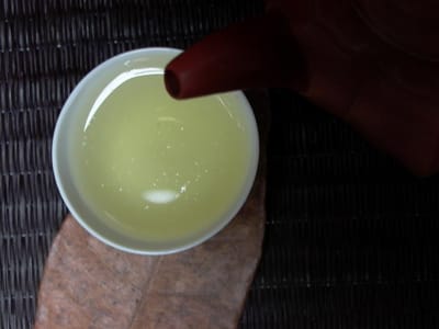 金萱茶的奶香