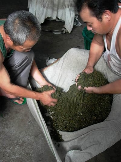 鹿谷脫褲茶