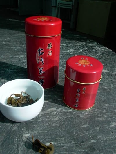 烏龍茶屬於什麼茶類