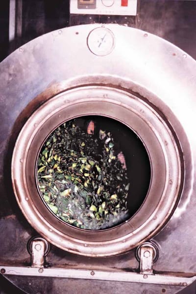 鐵觀音烘焙的火候哲學